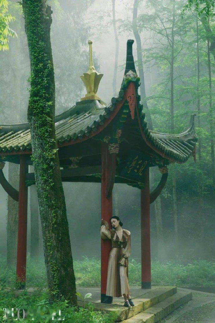 精灵的故事